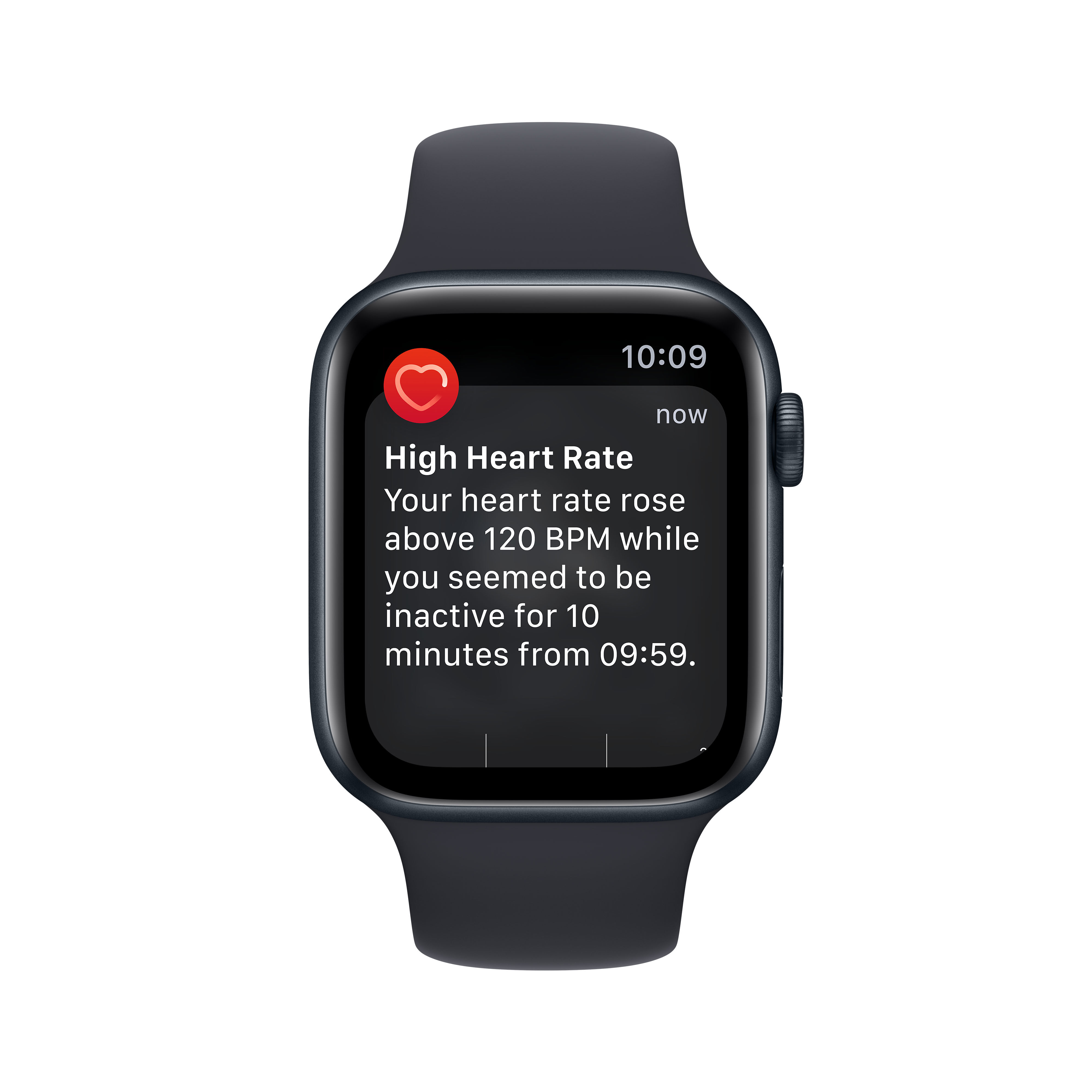 Apple watch se rose 44mm sales